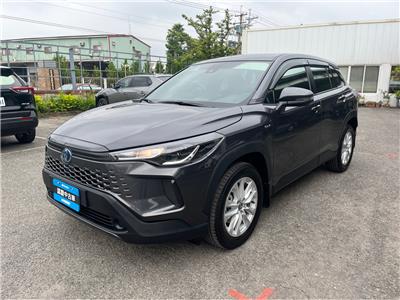 CROSS 1.8 HV