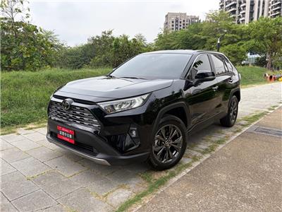 RAV4 2.0