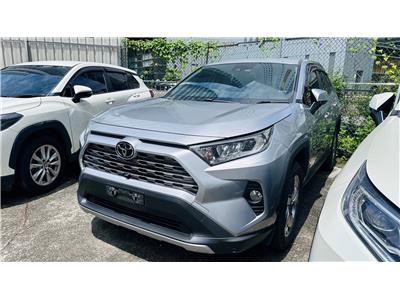 RAV4 2.0