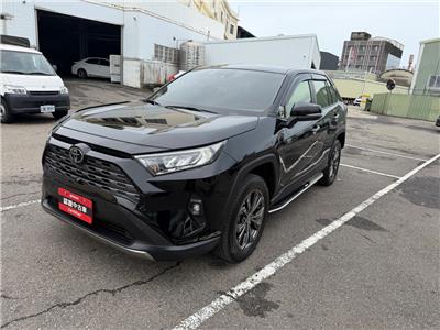 RAV4 2.0