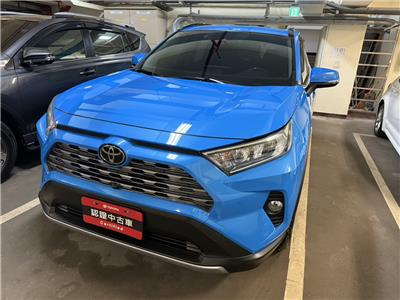 RAV4 2.0