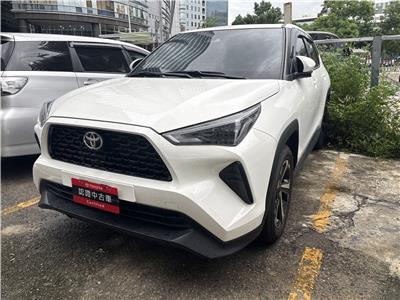 Y CROSS 1.5潮玩版