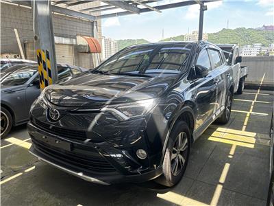 RAV4 2.0