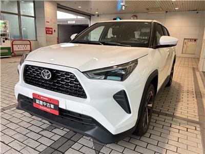 Y CROSS 1.5