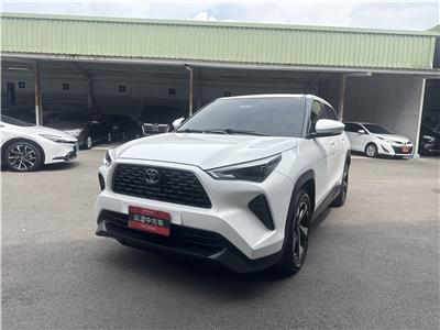 Y CROSS 1.5