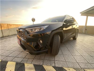 RAV4 2.0